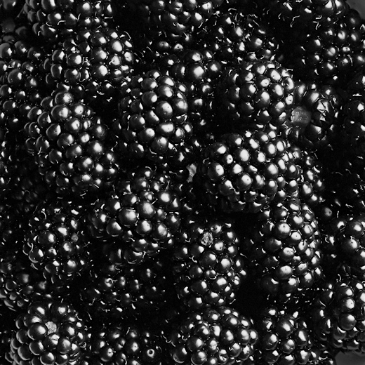 Bowl of fresh, healthy blackberries